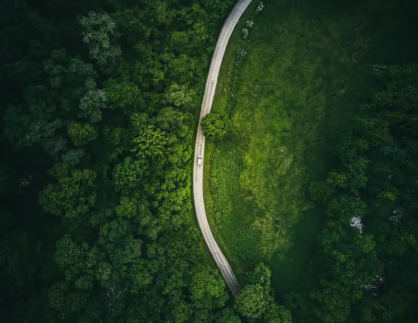 A road curving through dense forest, seen from directly above. The first of five landscape frames